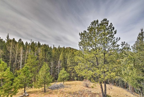 A-Frame Cabin with Mtn Views - 4 Mi to Cripple Creek! image 16