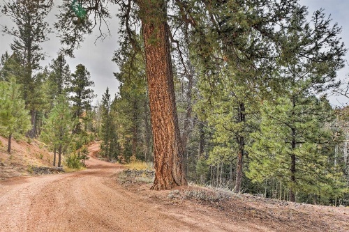 A-Frame Cabin with Mtn Views - 4 Mi to Cripple Creek! image 17
